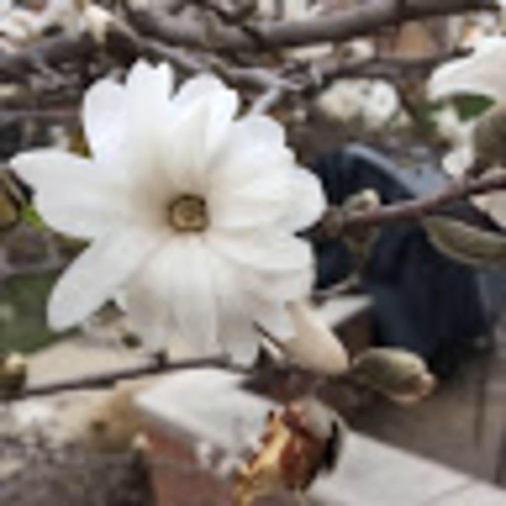 Meet your Posher, Angie